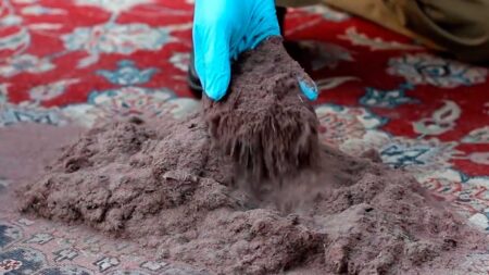 Профессиональное пылевыбивание и чистка ковров в Сочи: залог здоровья и чистоты в вашем доме